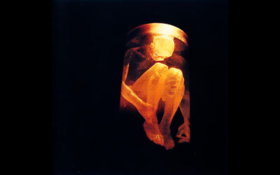 ALICE IN CHAINS Nothing Safe: Best of the Box Greatest Hits Album (1999)