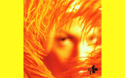 STONE TEMPLE PILOTS: SHANGRI LA DEE DA Fifth Studio Album (2001)