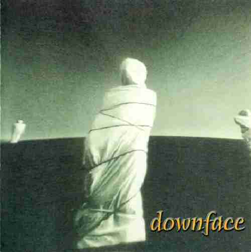 DOWNFACE: WITHIN Second Studio Album (2001)